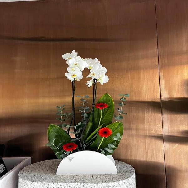 12d20a32_WhatsApp Image 2026-03-29 at 12.47.07 PM (1)-copy-0.jpeg